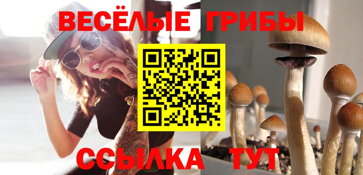 Псилоцибиновые грибы ЛСД  Вход с VPN  Кизляр 